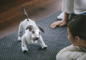 آیا ربات‌های مجهز به هوش مصنوعی جایگزین سگ و گربه خانگی می‌شوند؟