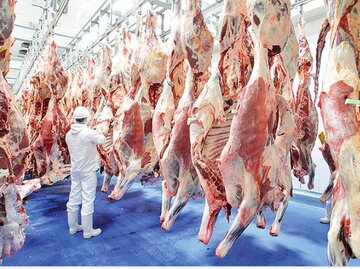 سیگنال نگران‌کننده به بازار گوشت/ چرا نمی‌توان به وعده کاهش قیمت گوشت دل خوش کرد؟