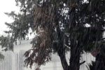 سازمان هواشناسی هشدار داد/ بارش و آبگرفتگی در این ۲۲ استان