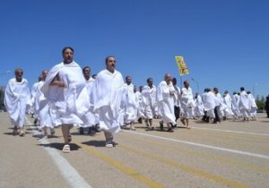 آمار عجیب و جالب از زائران حج عمره