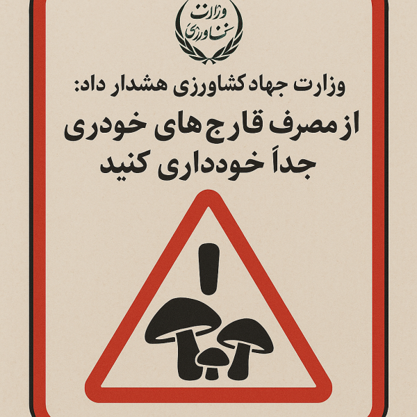 وزارت جهاد کشاورزی هشدار داد از مصرف قارچ‌های خودرو (وحشی) جداً خودداری کنید