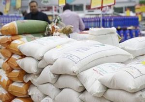 کدام اشتباه آماری قیمت برنج را گران کرد؟ / برنج را از کشاورز کیلویی ۷۰ هزار تومان می‌خرند