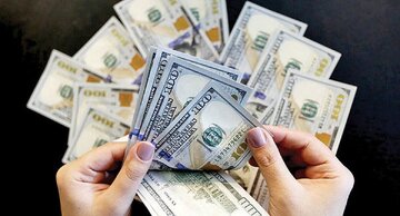 دلار به پایین‌ترین سطح قیمتی رسید/ دلار با سر زمین خورد