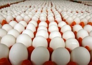 قیمت انواع تخم مرغ پوست سفید اعلام شد