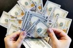 قیمت جدید دلار، یورو و سایر ارزها ۱۵ مهر ۱۴۰۴/ دلار دوباره خیز برداشت