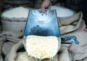 قیمت برنج رسما اعلام شد/ راد: برنج ارزان از این تاریخ وارد بازار می‌شود