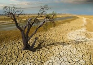 دلیل بیآبی در خاورمیانه چیست؟ / خشکسالی و دروغ: خاورمیانهای که خون گریه میکند