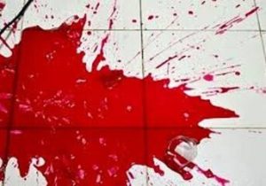 دستگیری دو برادر قاتل در تهران