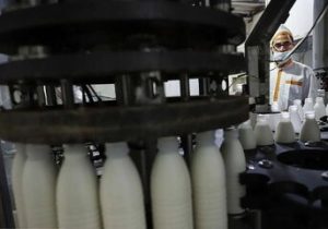 خبر مهم وزیر کشاورزی برای کالابرگ بگیران؛ افزایش قیمت لبنیات اصلاح می شود؟