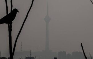 کاهش محسوس جمعیت گنجشک‌ها در تهران/ پرندگان مهاجر تهران را دور می‌زنند