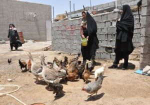 زمان پرداخت عیدی روستائیان مشخص شد