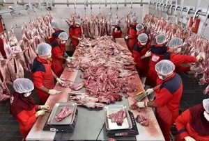 ایران با کشور همسایه وارد یک معامله عجیب شد/واردات گوشت از پاکستان به ازای صادرات این کالا