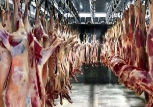 قیمت جدید گوشت قرمز امروز ۲۴ اردیبهشت ۱۴۰۵ / هر کیلوگرم گوشت گوساله و گوسفندی چند شد؟ + جدول