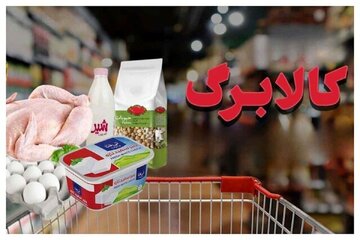 خبر مهم یک نماینده مجلس درباره رقم جدید کالابرگ/ یک میلیون تومان به مبلغ کالابرگ اضافه میشود