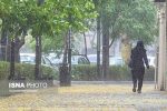 پیشبینی بارشهای پاییزی تهران؛ لایروبی کانالها و مسیلها در دستور کار شهرداری
